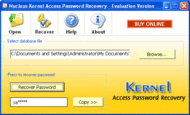 Kernel Access Password Recovery Software screenshot